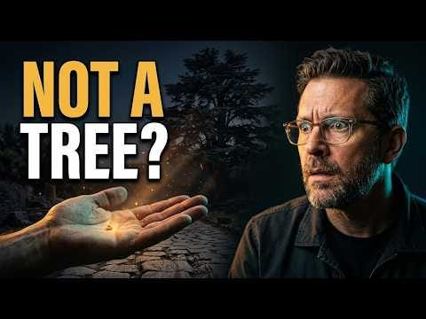 Video poster shows a small seed resting in an open hand beside a scholar and the words “Not a Tree?”.